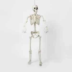 60" Posable Skeleton Halloween Decorative Mannequin - Hyde & EEK! Boutique™