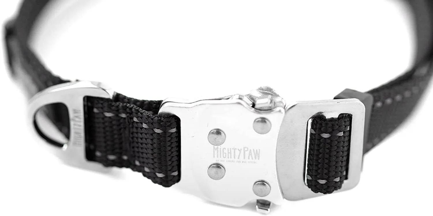 All-Metal Buckle Dog Collar with Tag Silencer and Reinforced D-Ring