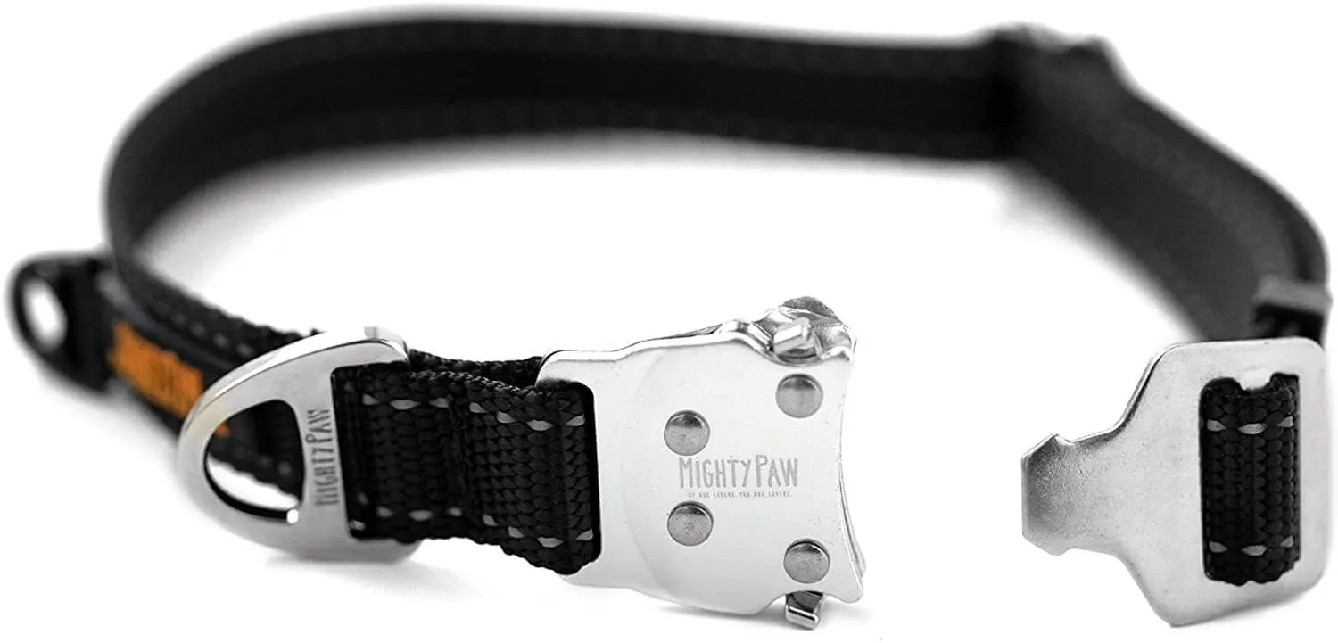 All-Metal Buckle Dog Collar with Tag Silencer and Reinforced D-Ring