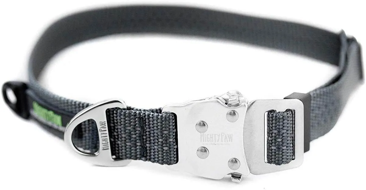 All-Metal Buckle Dog Collar with Tag Silencer and Reinforced D-Ring