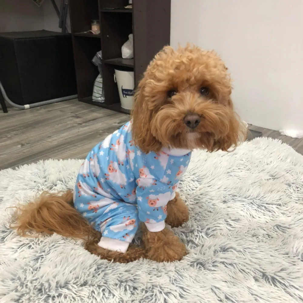 Counting Sheep Dog Pyjamas - Blue