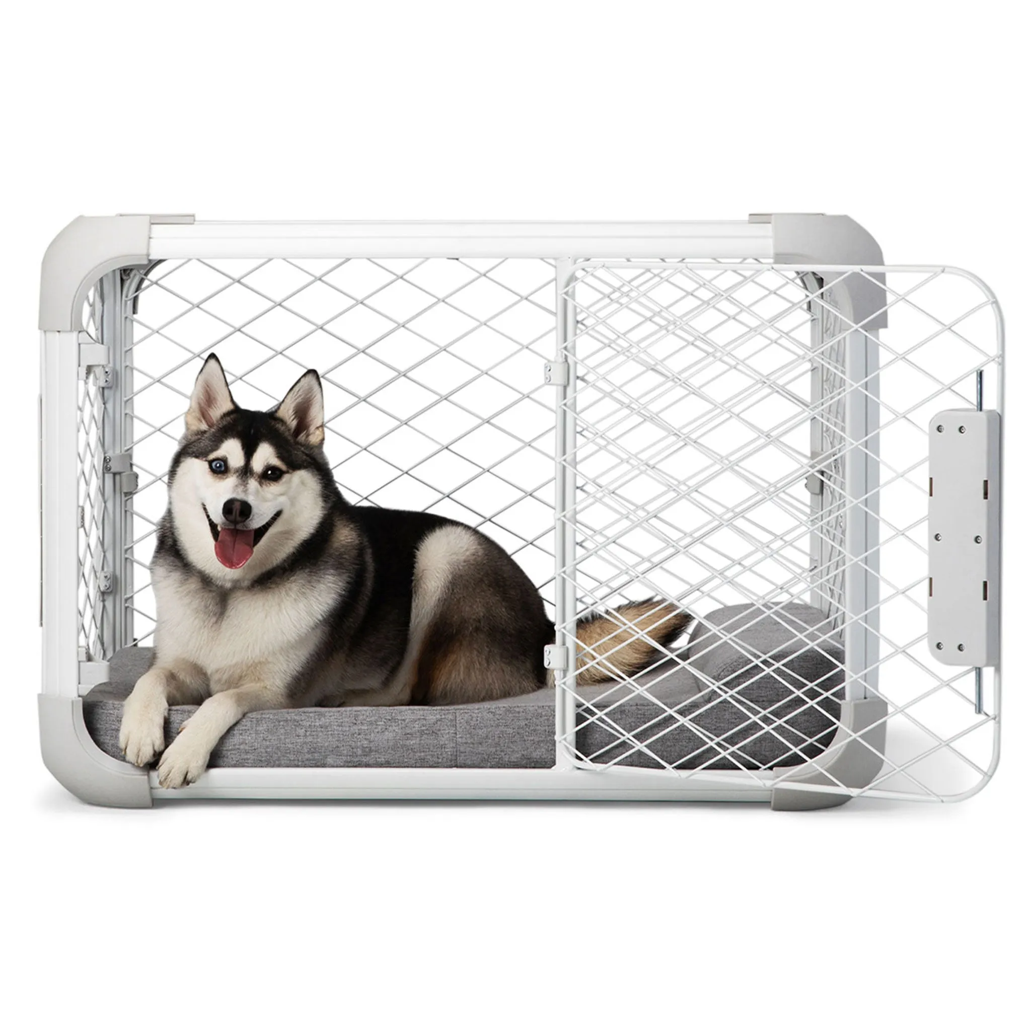 Diggs Evolv Dog Crate - Ash