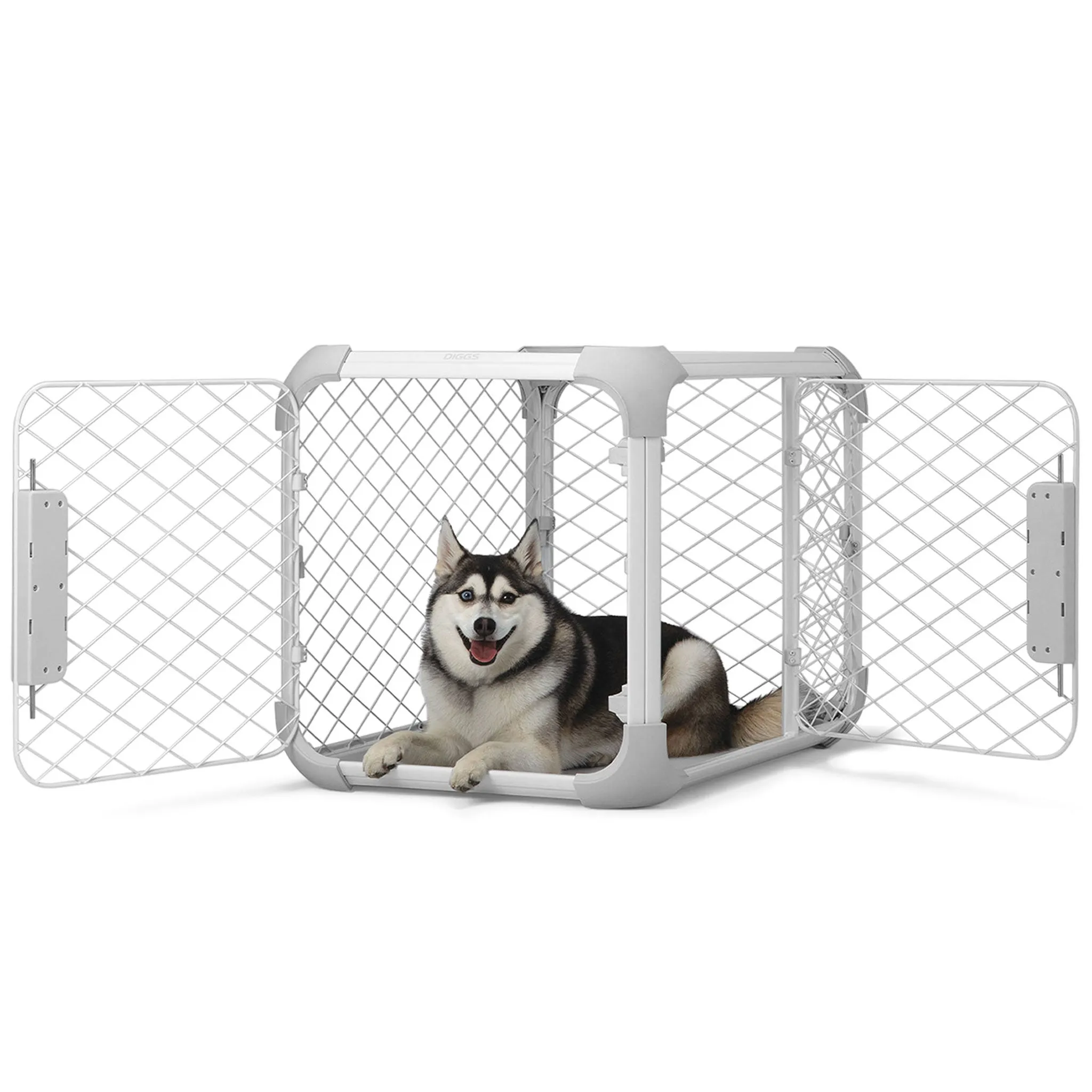 Diggs Evolv Dog Crate - Ash