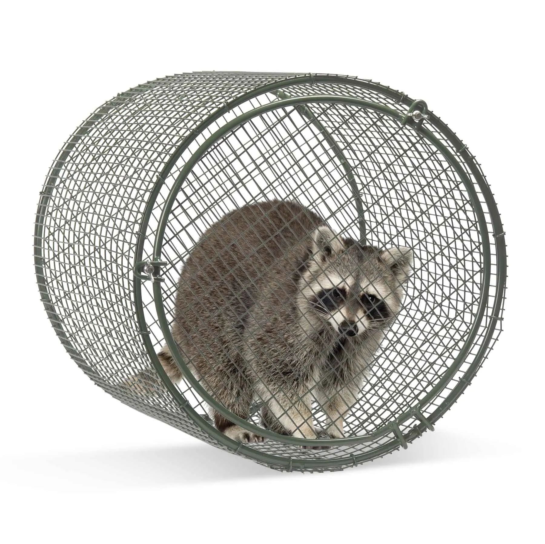 Dog Training Large 18" x 20" Raccoon Roll Cage