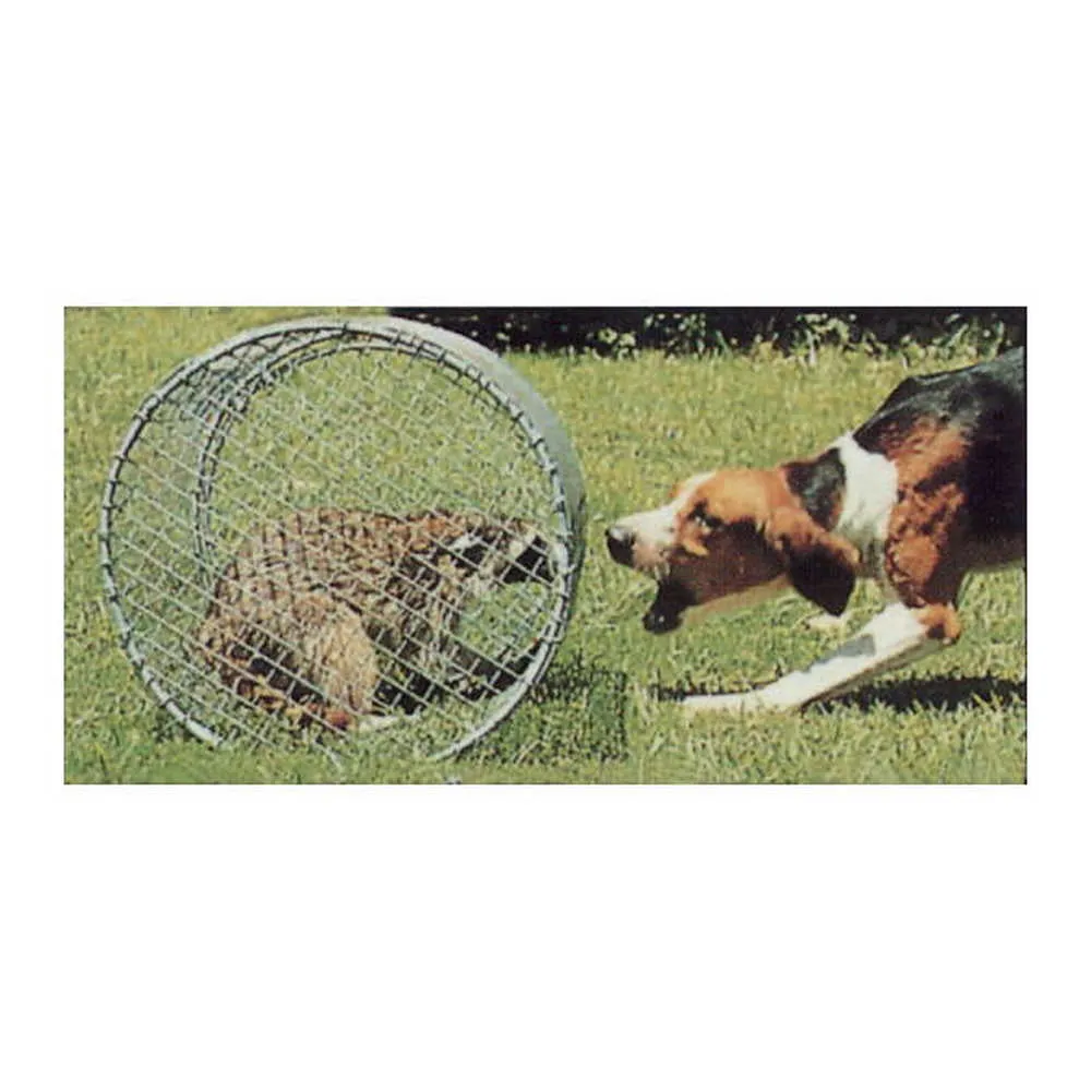 Dog Training Large 18" x 20" Raccoon Roll Cage