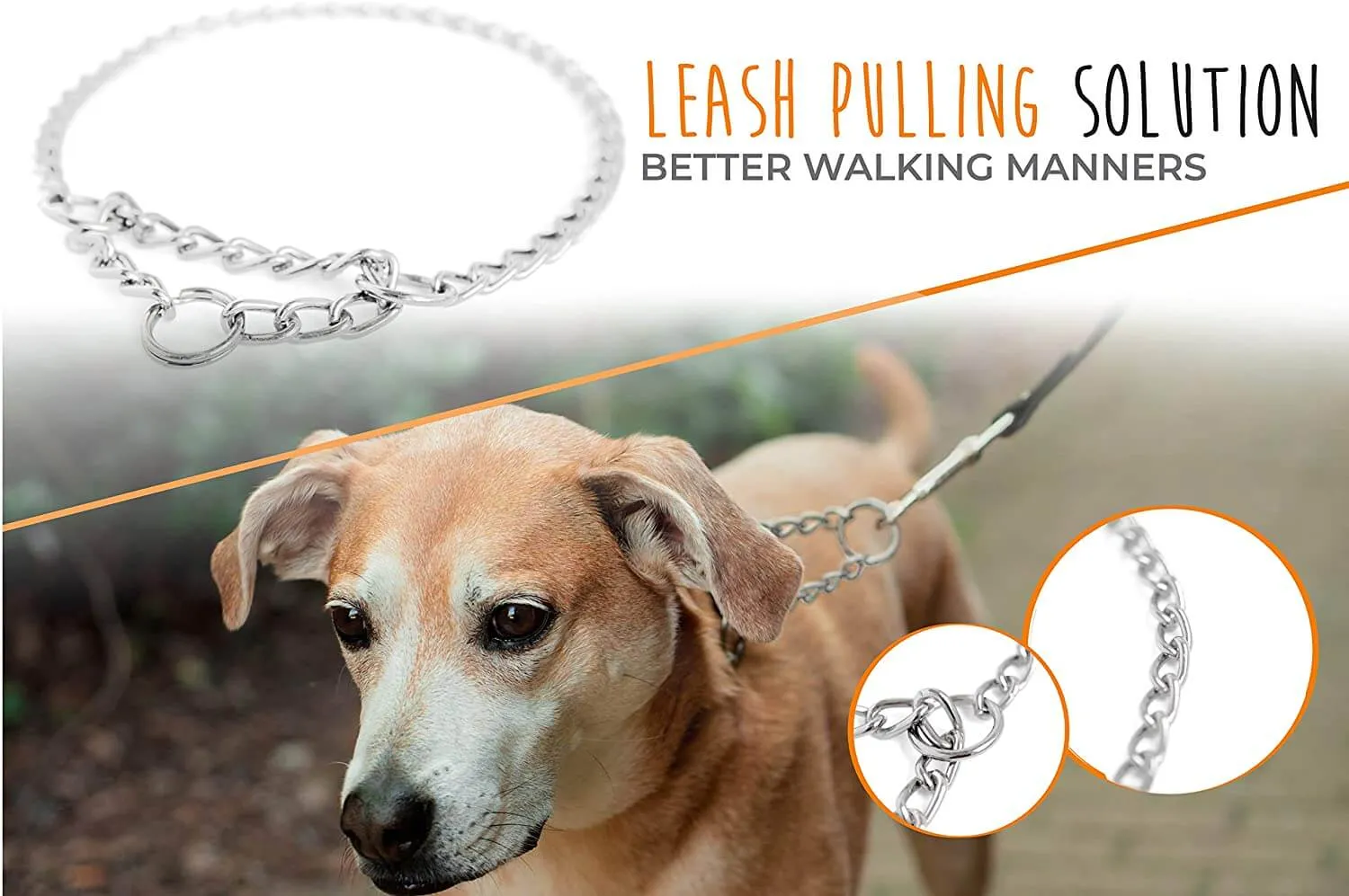 Gentle Martingale Collar - Durable, Weather-Resistant Stainless Steel