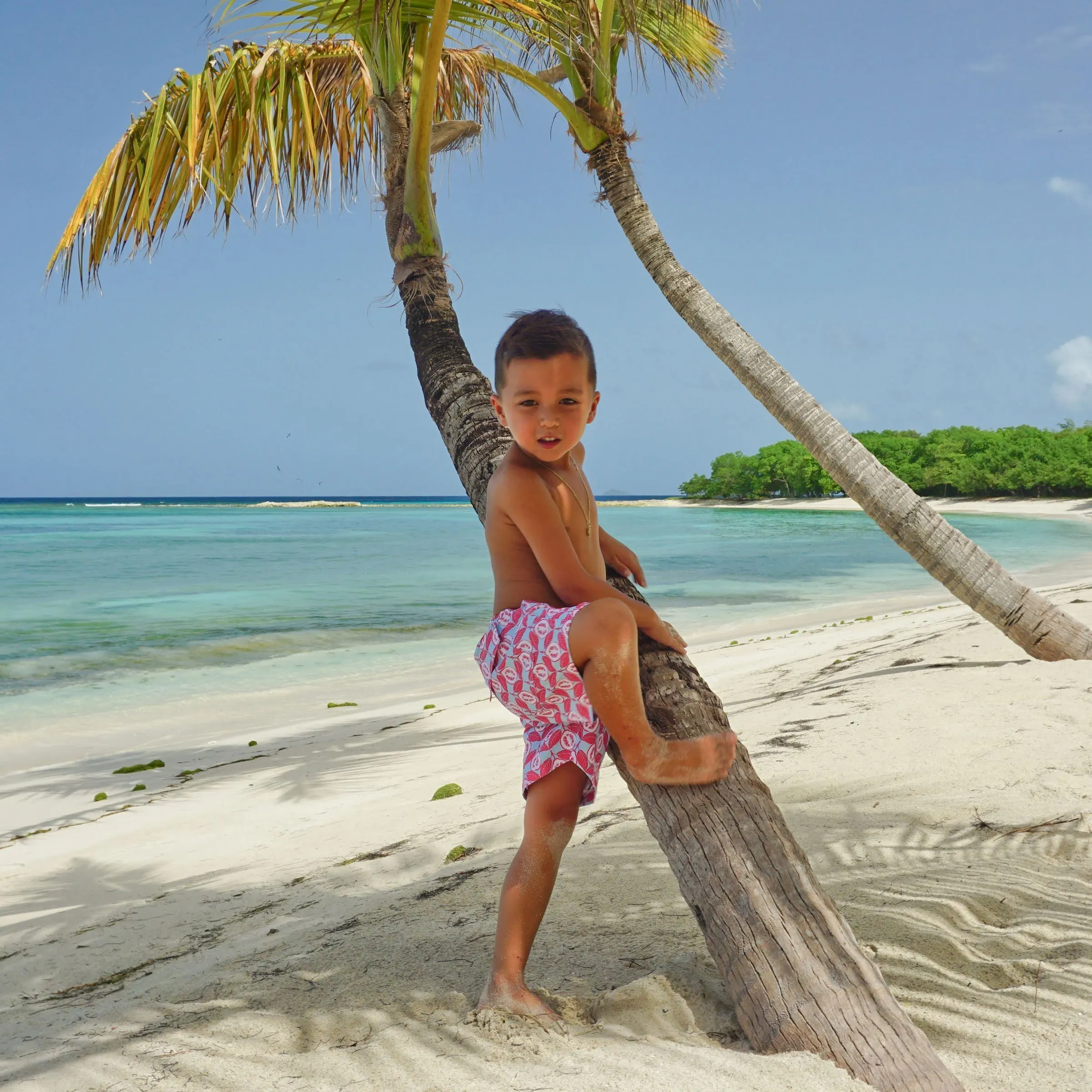 Kids' Swim Shorts GUAVA