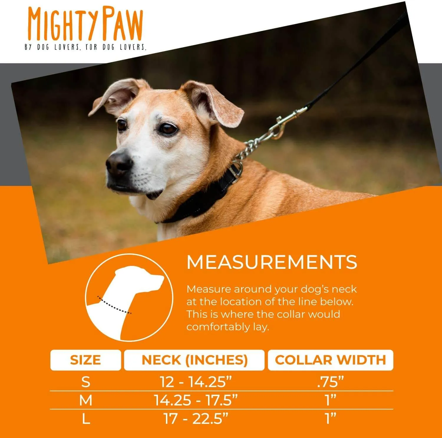 Mighty Paw Martingale Cinch Collar - Training Made Easy