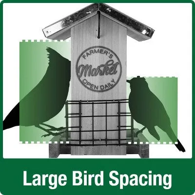 Nature's Way Wild Wings 3qt Hopper Feeder with Suet Cages 11" - Weathered Galvanized