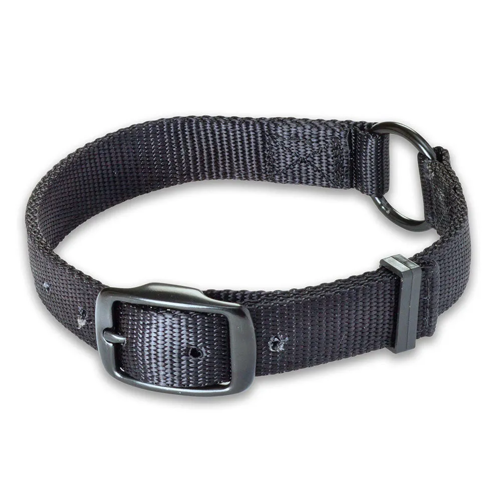 Nite Lite Double Ply Nylon 1" Ring-N-Center Black Dog Collar