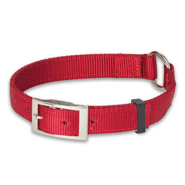 Nite Lite Double Ply Nylon 1" Ring-N-Center Dog Collar