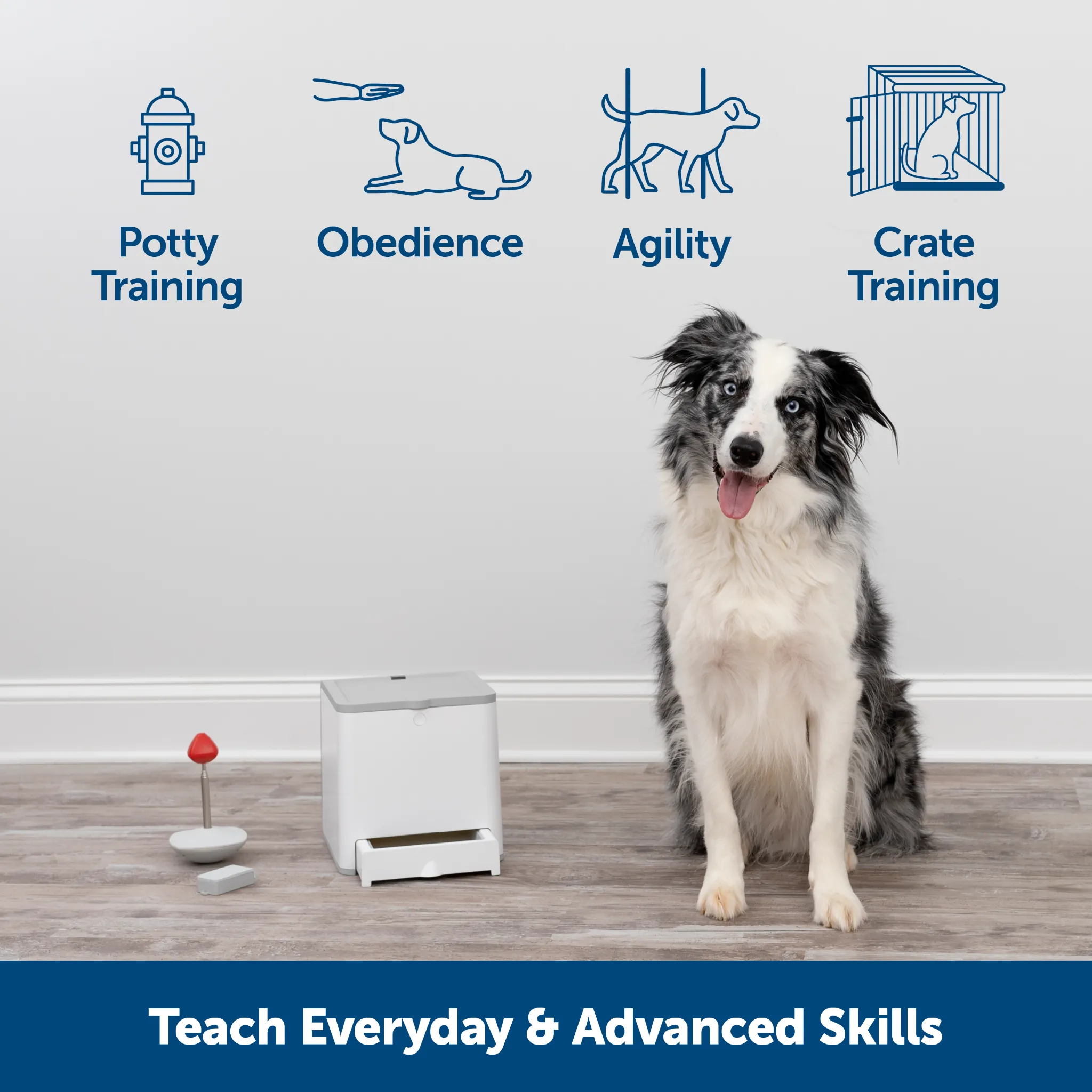 PetSafe® Teach & Treat Remote Reward Trainer