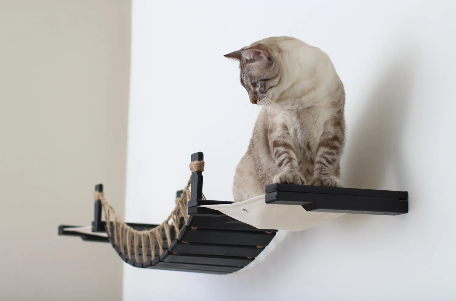 The Cat Bridge Lounge (For Wall)