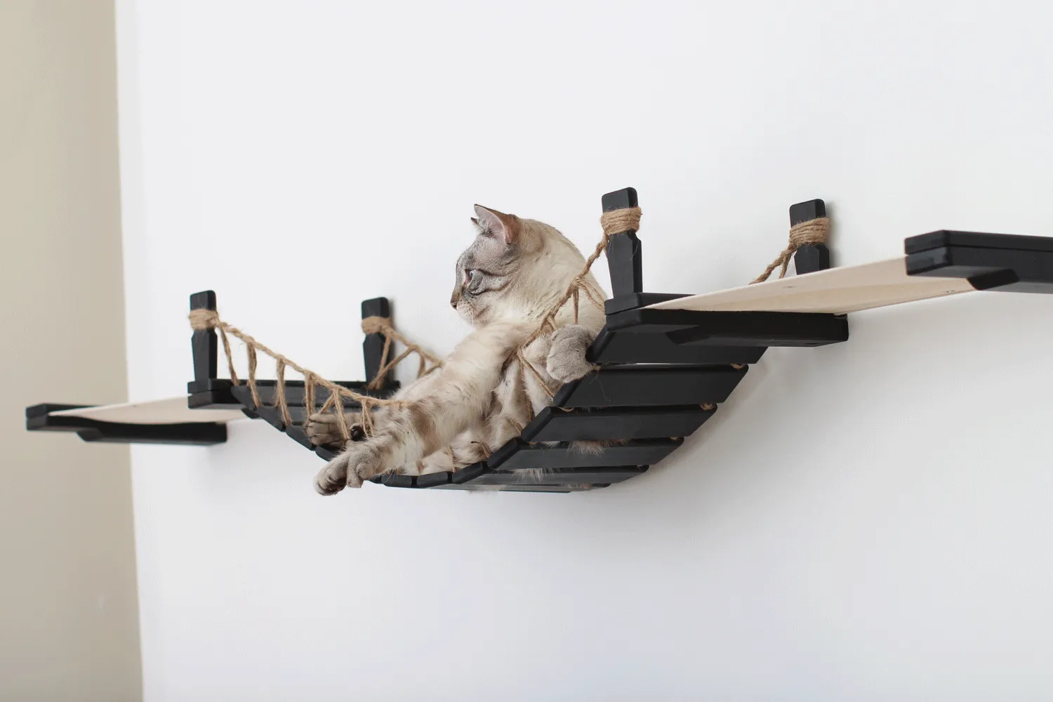 The Cat Bridge Lounge (For Wall)