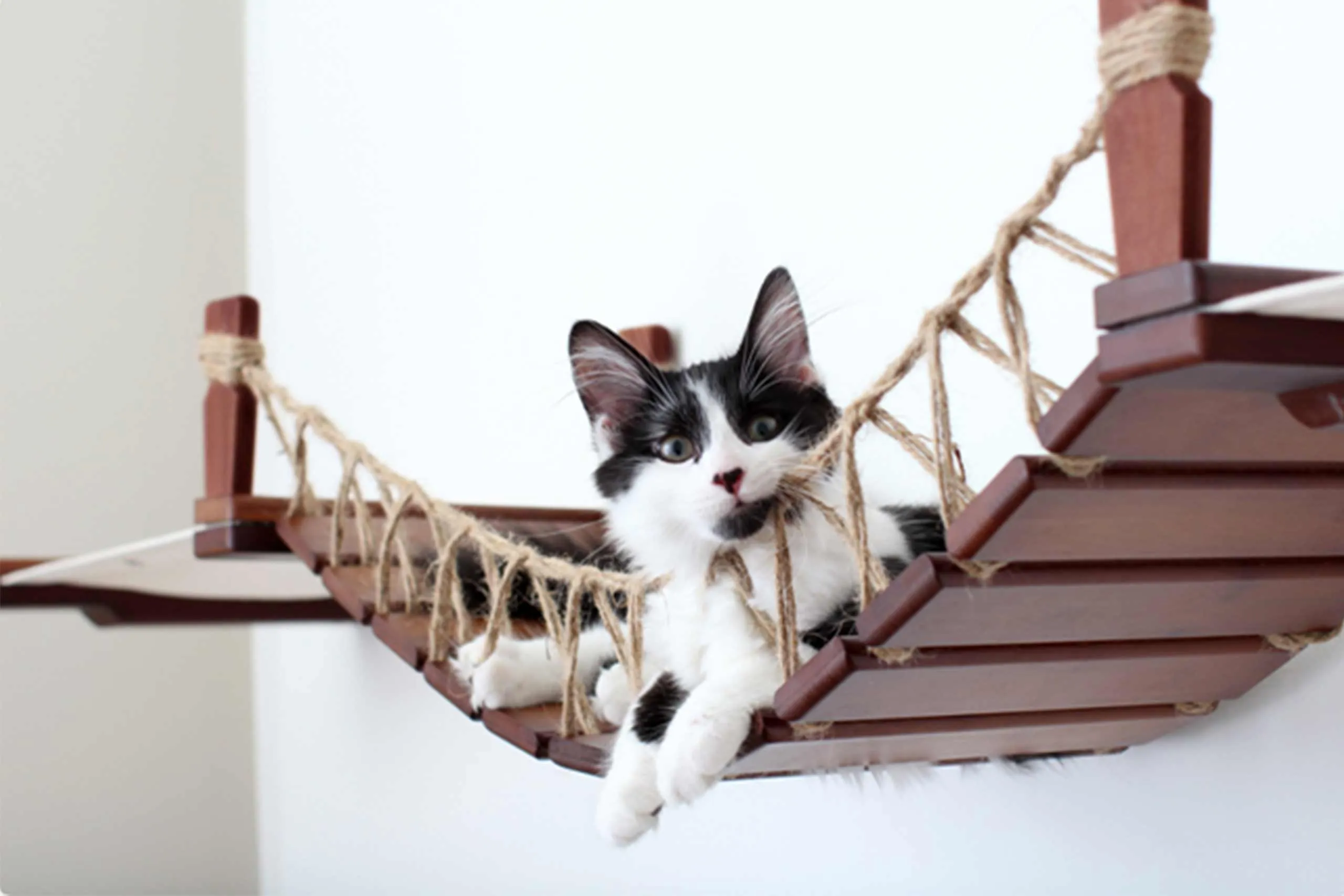 The Cat Bridge Lounge (For Wall)