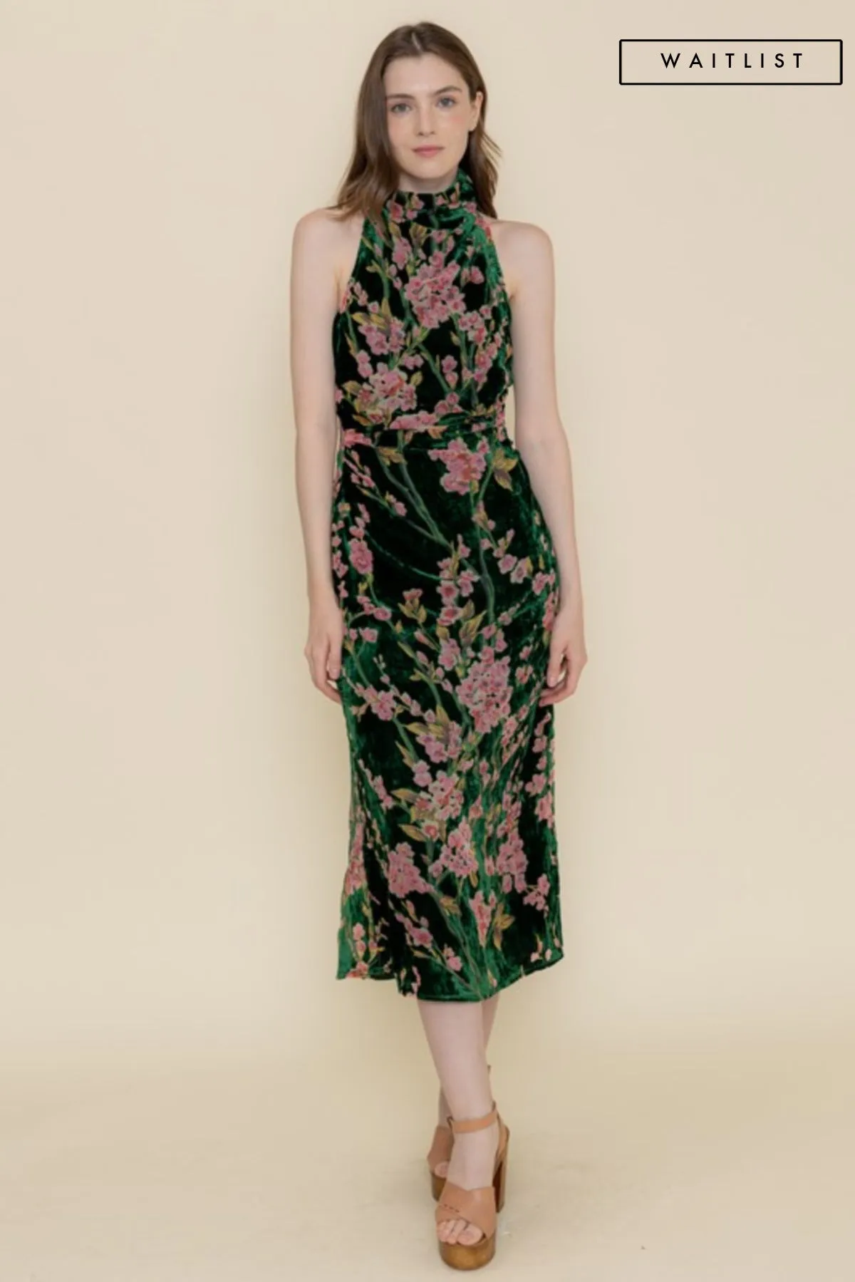 Waitlist 11/27 ♥ Kayla Sleeveless Mock Neck Velvet Floral Print Midi Dress Green